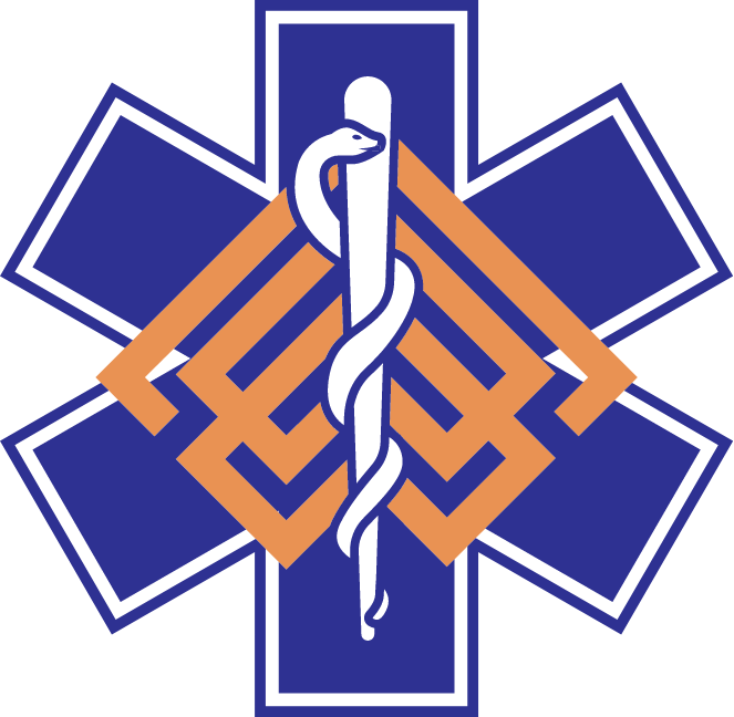 Vitalogy Purple and Gold Logomark EMS Cross Purple Logomark Vitalogy EMS Logo